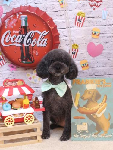 20230907ボーロくん